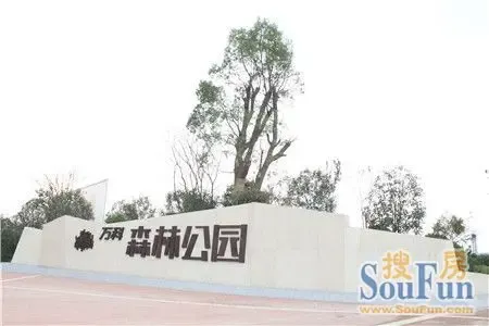 【房天下在现场】万科森林公园