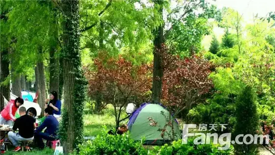 胜大南苑森林烧烤音乐节&南湖合作联盟成立