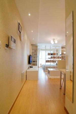 45平米一室一厅简约小户型装修设计装潢案例 空间收纳