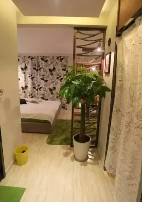 ͼƬ